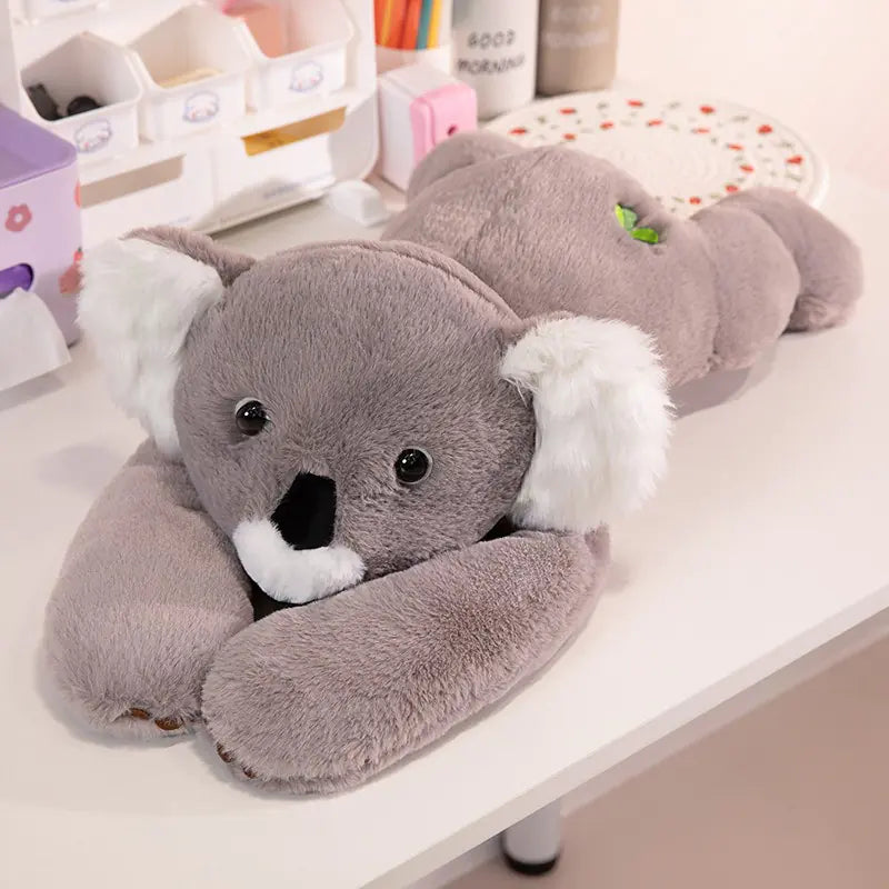 Cuddly Koala